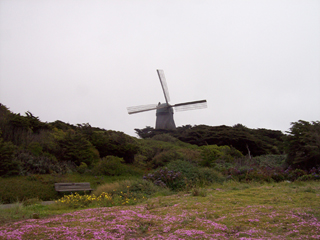 Dutch Windmill
