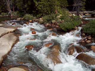 Merced River View